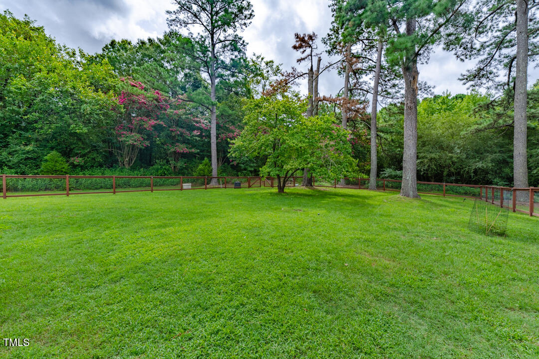 4621 Erwin Road Durham, NC 27705 - Photo 26 of 40 a view of a park with a tree in the background