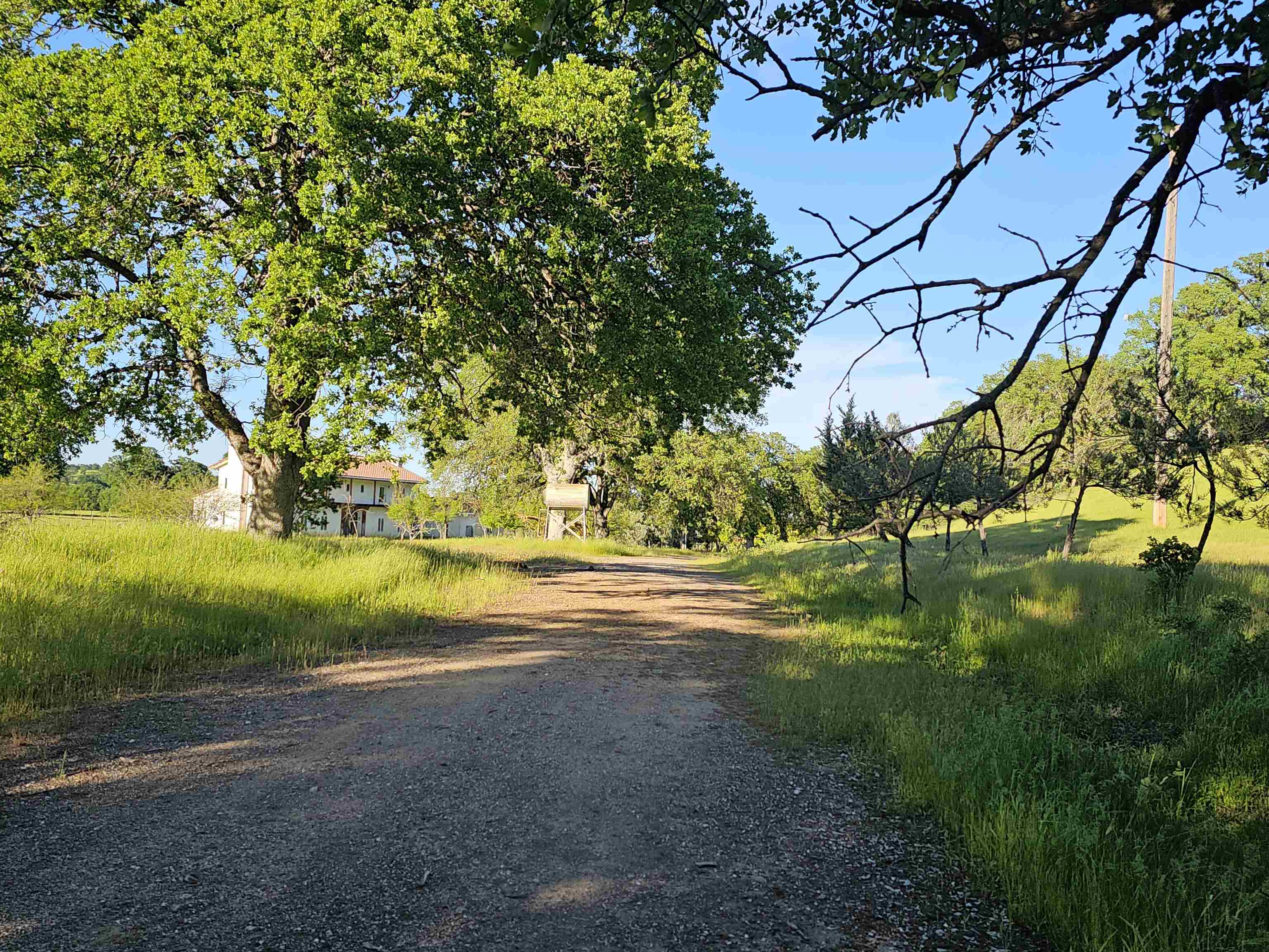 17300 Red Bank Road Red Bluff, CA 96080 - Photo 43 of 67