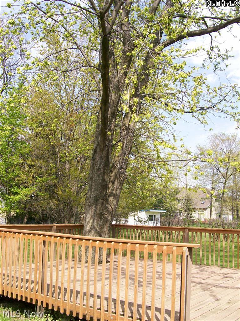 5451 Highland Road Cleveland, OH 44143 - Photo 5 of 15 A spacious deck and a tree for shade offers a great place to enjoy the outdoors.