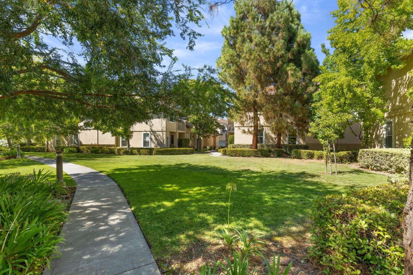3337 Midtown Place San Jose, CA 95136 - Photo 26 of 32 a view of a park with large trees