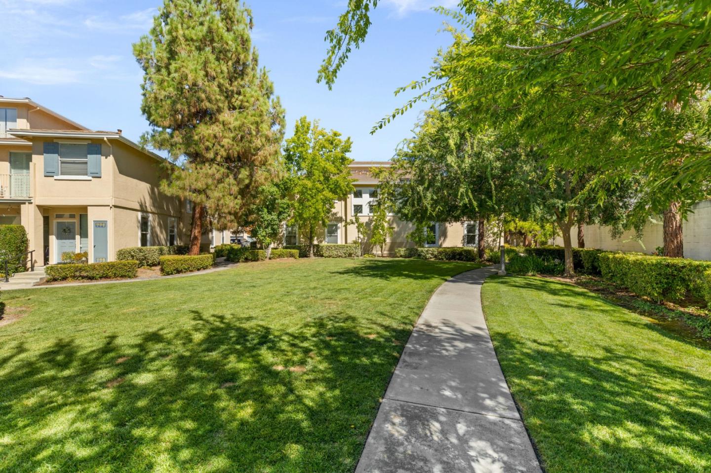 3337 Midtown Place San Jose, CA 95136 - Photo 28 of 32 a view of a yard with plants