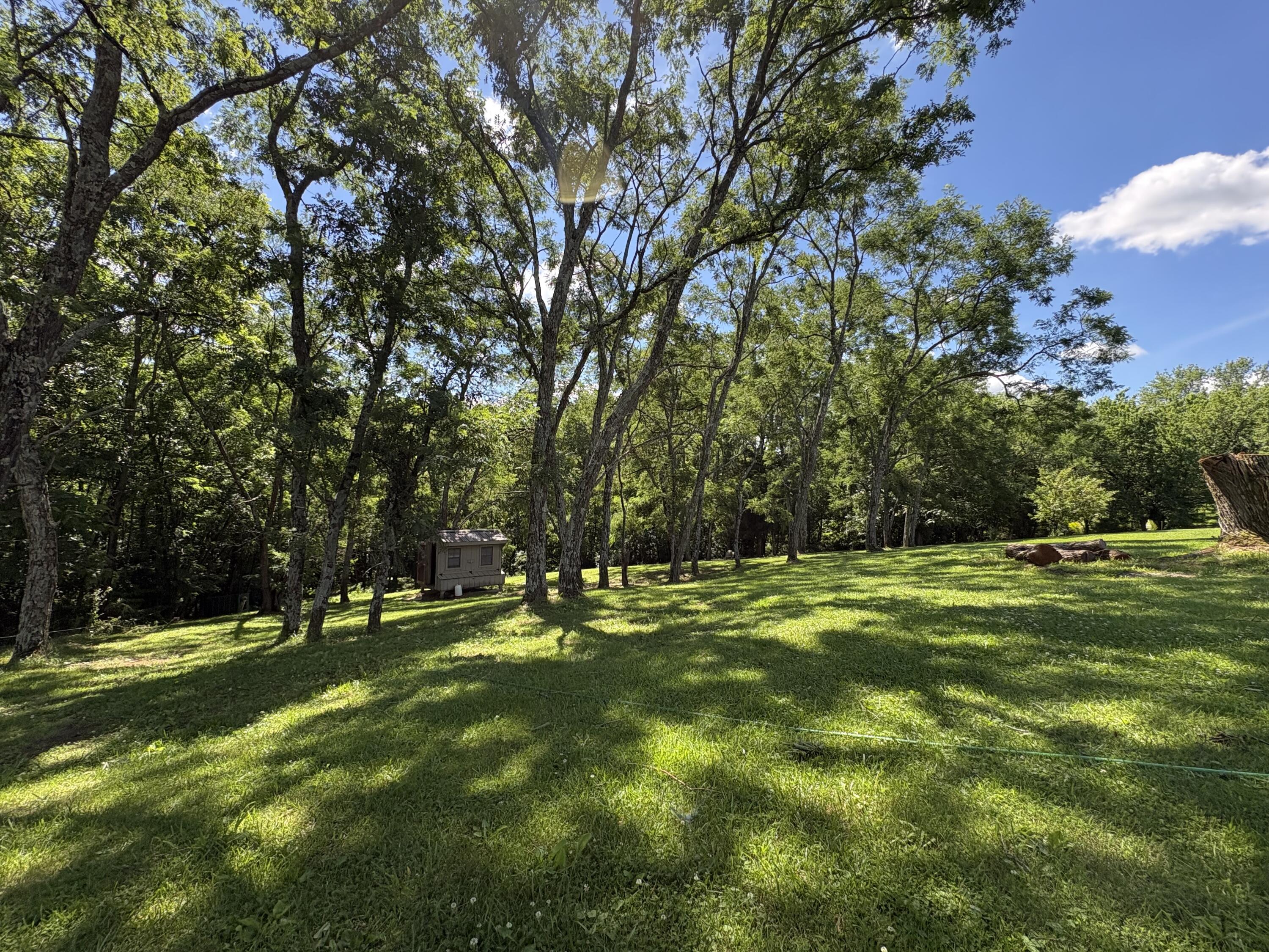 1507 Parina Road Brooksville, KY 41004 - Photo 17 of 21 IMG_0269