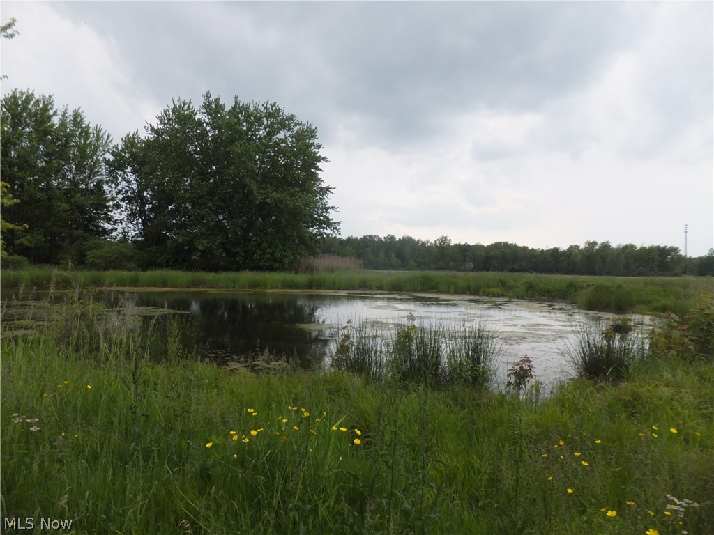 2498 Allen-Comp Road Dorset, OH 44032 - Photo 31 of 35 Gallery Image 31