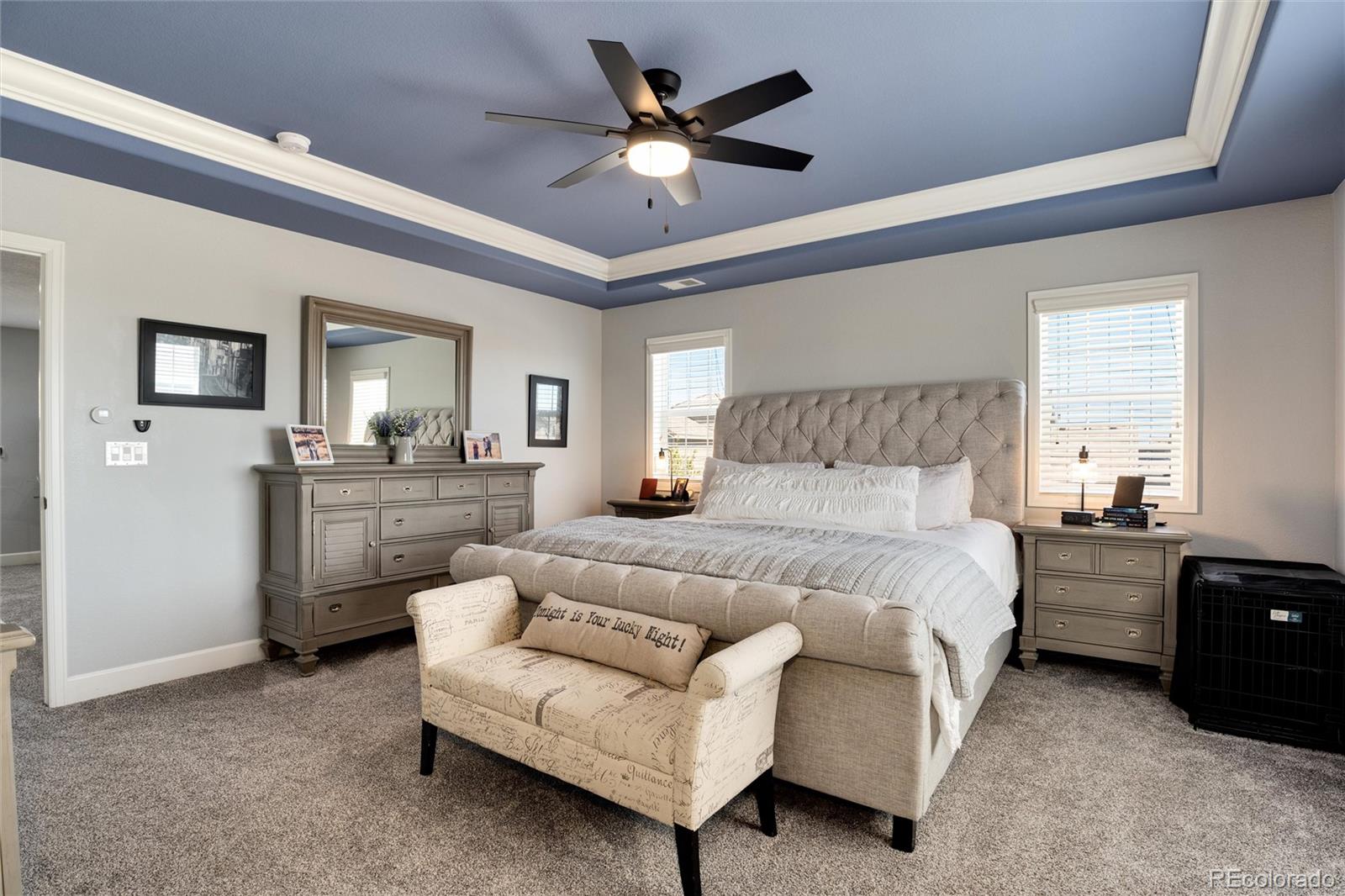14390 Double Dutch Loop Parker, CO 80134 - Photo 28 of 50 a spacious bedroom with a bed and a ceiling fan
