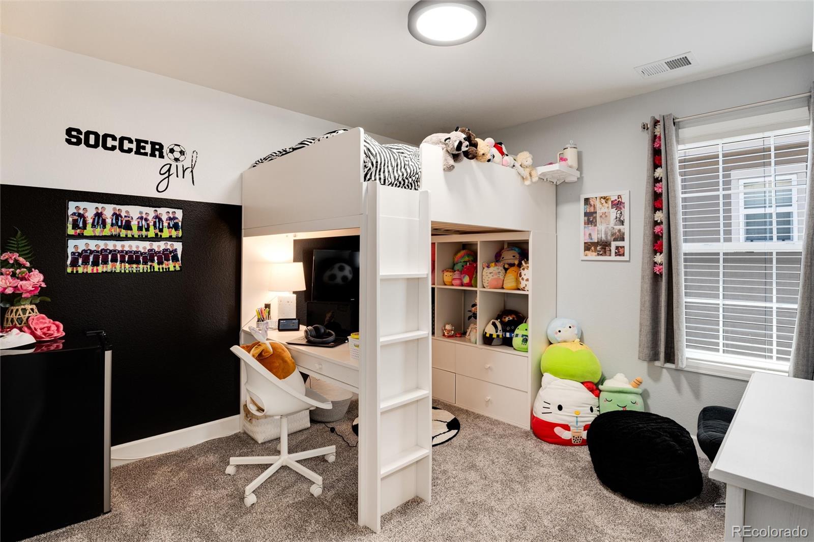 14390 Double Dutch Loop Parker, CO 80134 - Photo 30 of 50 a view of a room with gym equipment