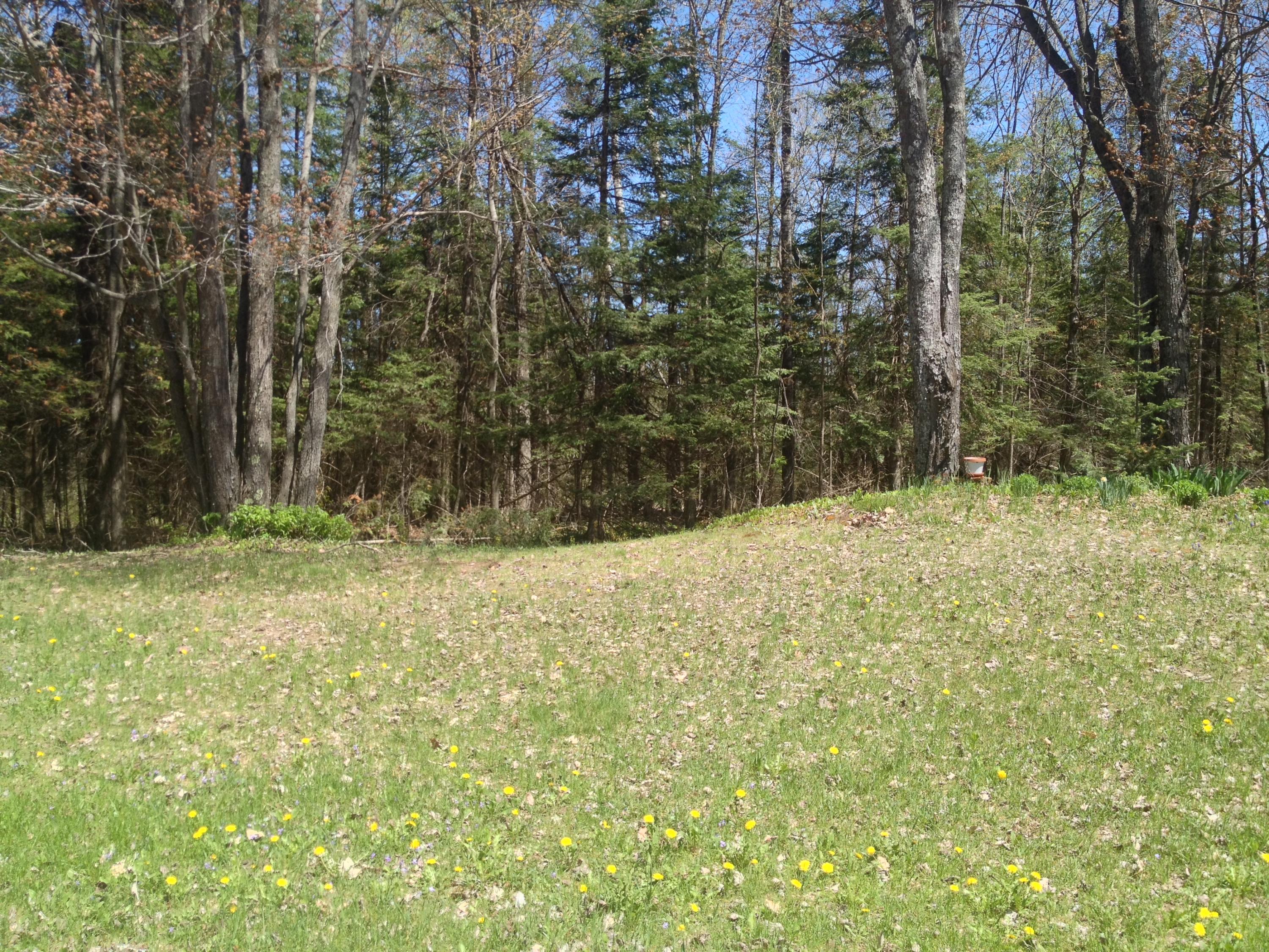 8061 West Lockhart Road Dafter, MI 49724 - Photo 22 of 26 Gallery Image 22