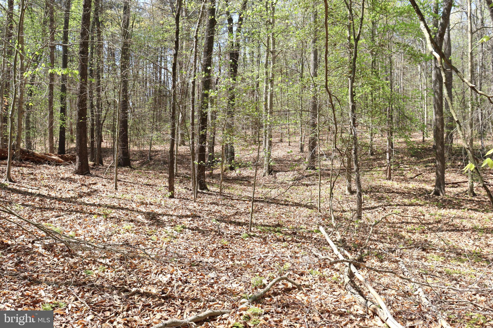 Beautiful 17.7-acre wooded lot with creek