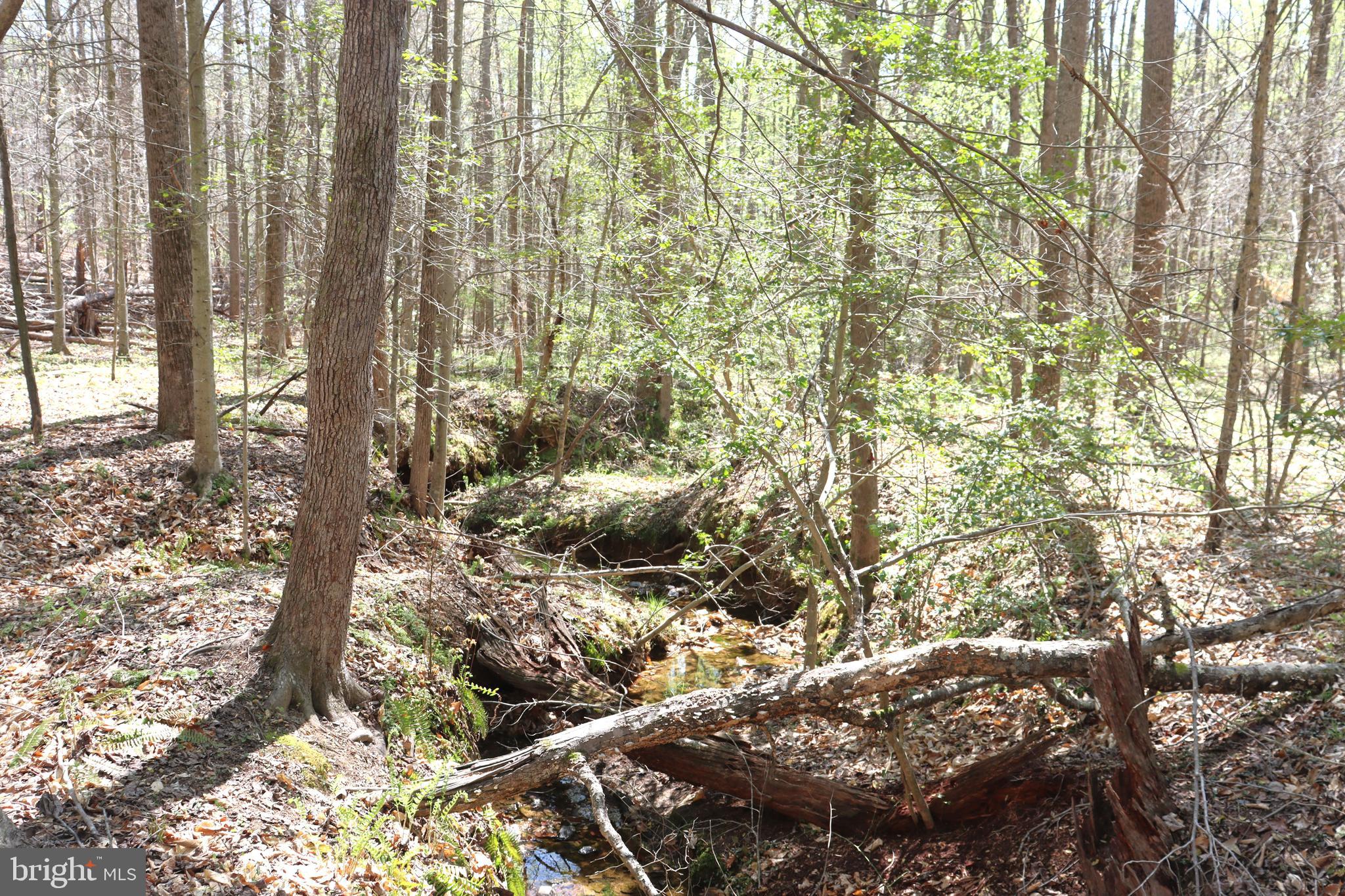 Snake Castle Road Sumerduck, VA 22742 - Photo 11 of 21 Meandering Creek
