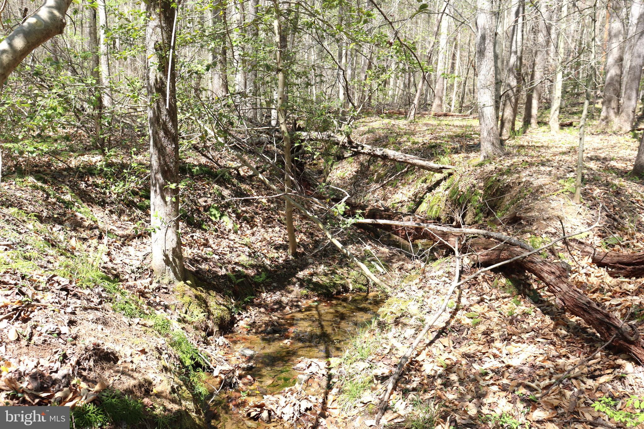 Snake Castle Road Sumerduck, VA 22742 - Photo 12 of 21 Meandering Creek