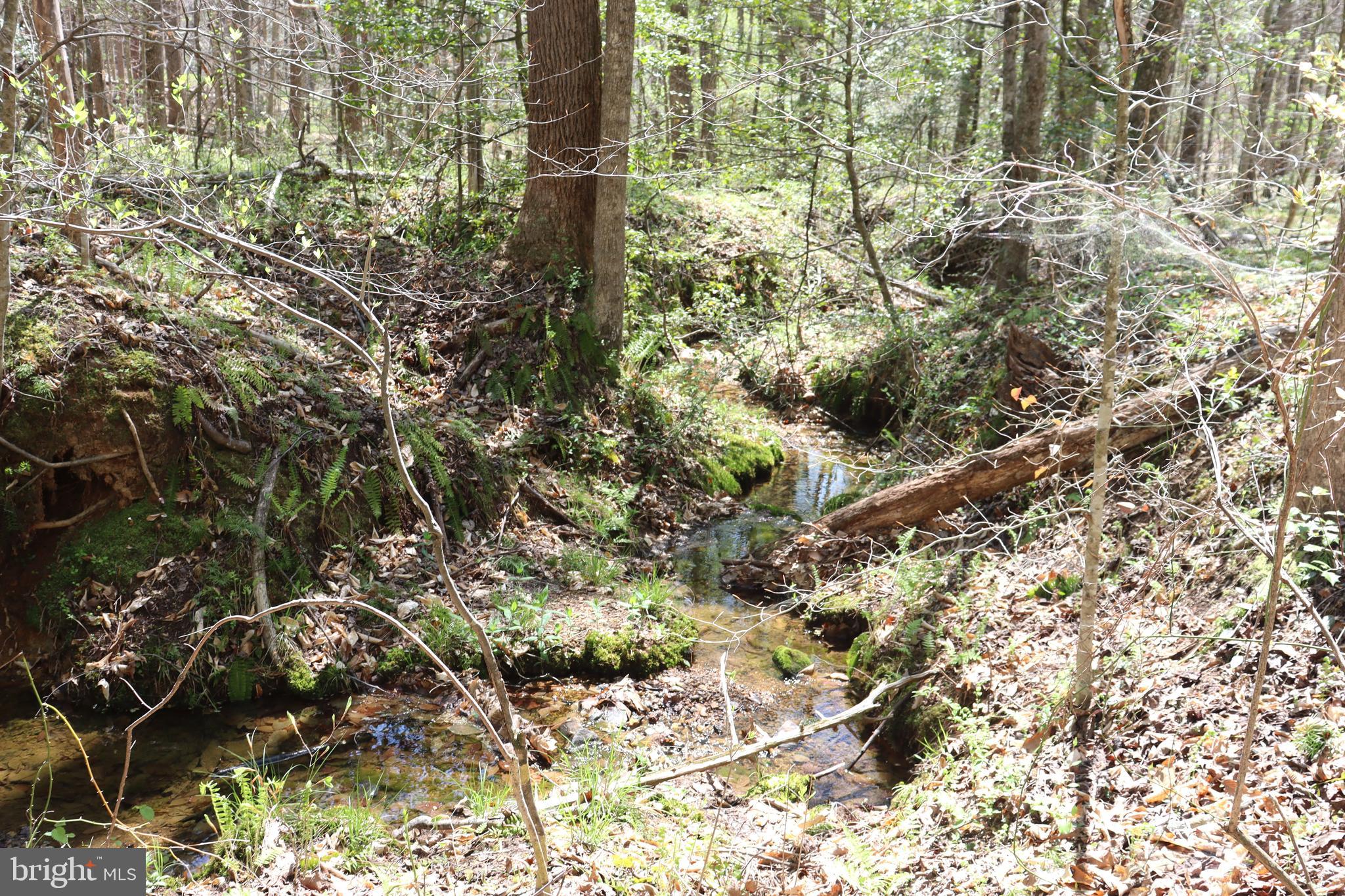 Snake Castle Road Sumerduck, VA 22742 - Photo 13 of 21 Meandering Creek