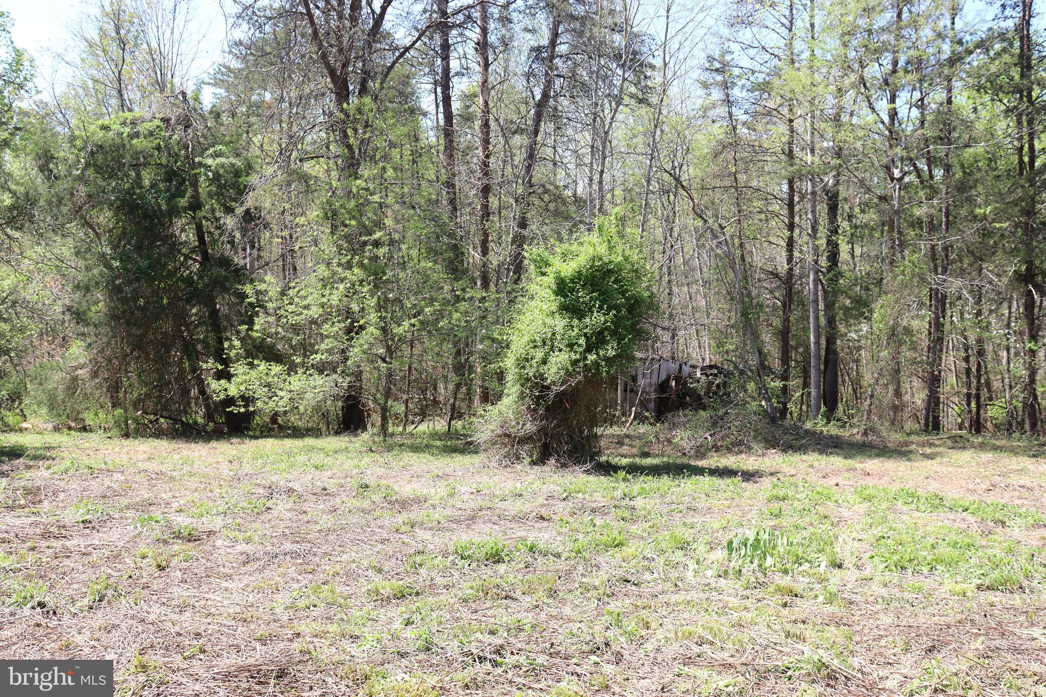 Snake Castle Road Sumerduck, VA 22742 - Photo 5 of 21 Open area of lot