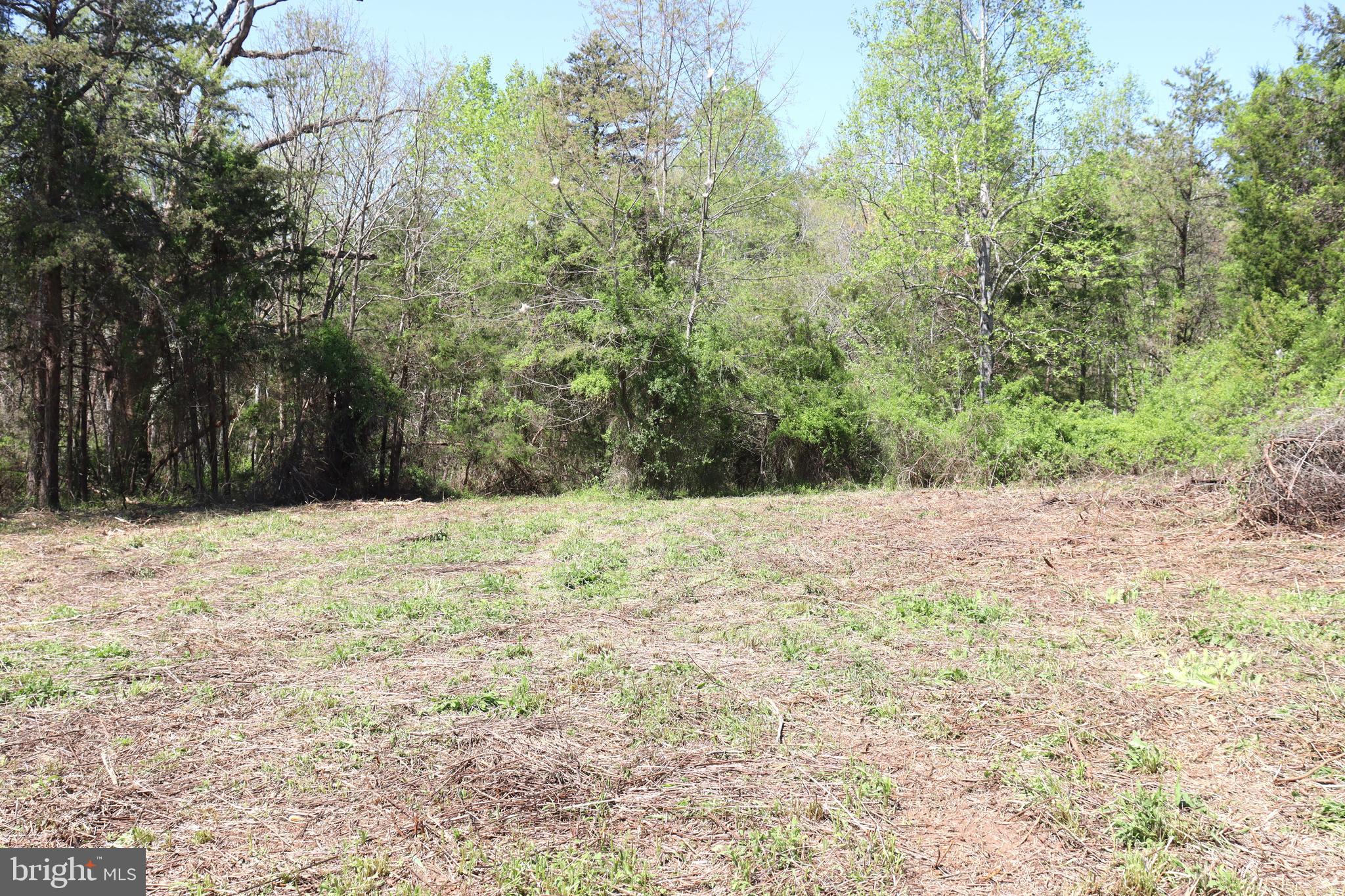 Snake Castle Road Sumerduck, VA 22742 - Photo 6 of 21 Open area of lot
