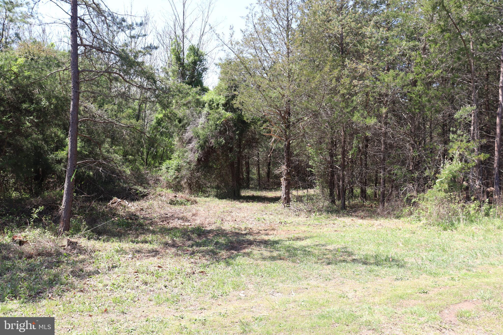 Snake Castle Road Sumerduck, VA 22742 - Photo 7 of 21 Open area of lot