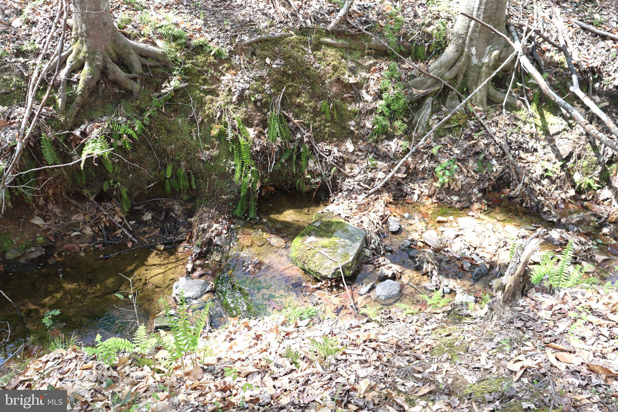 Snake Castle Road Sumerduck, VA 22742 - Photo 10 of 21 Meandering Creek