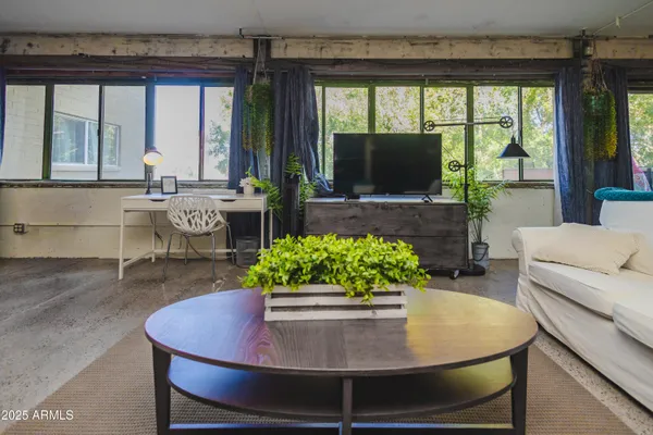 a living room with furniture and a potted plant