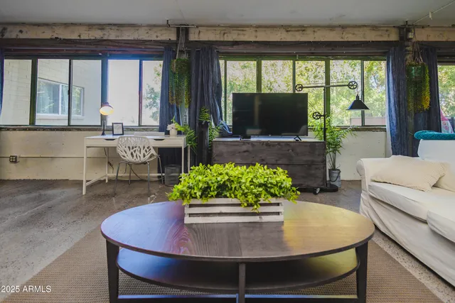a living room with furniture and a potted plant