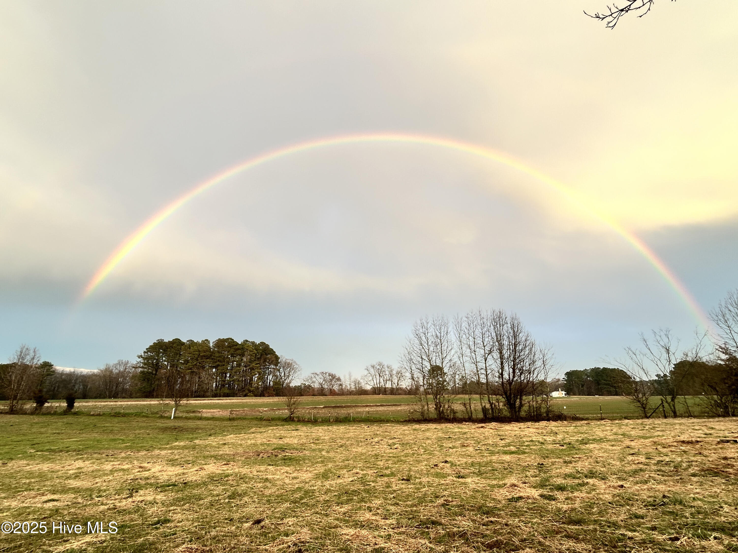 7274 Perry Road Bailey, NC 27807 - Photo 31 of 43 31_photo-7274-perry-road