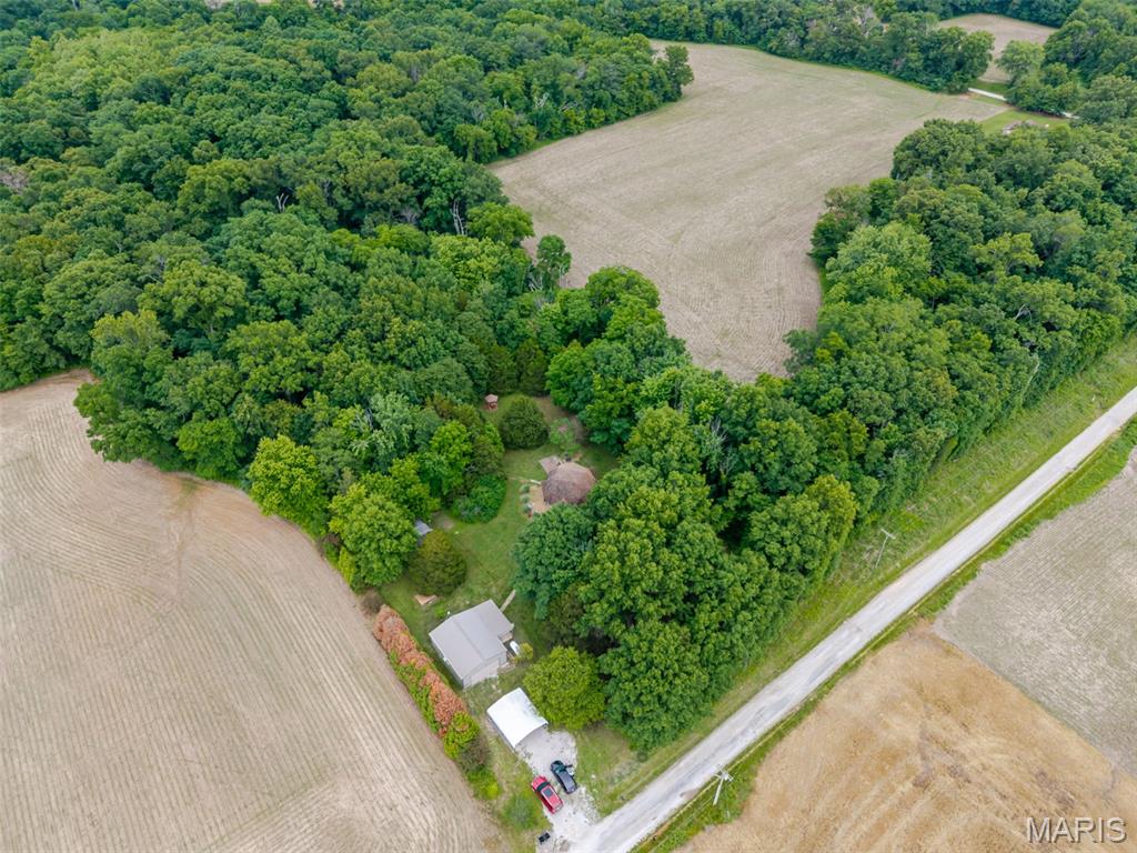 12042 Dutch Ashley, IL 62808 - Photo 36 of 45