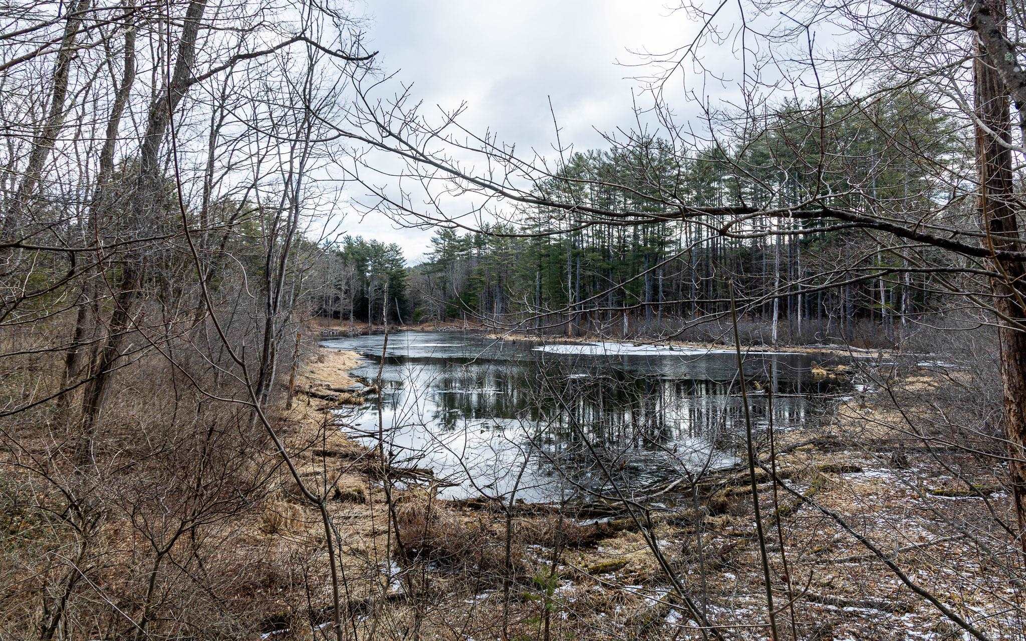 46 Old Cheshire Turnpike Walpole, NH 03608 - Photo 2 of 26