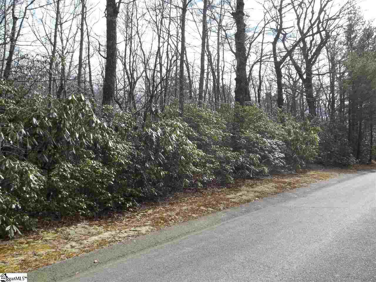 0 Conifer Falls Road, Unit LOT 194 Cleveland, SC 29635 - Photo 1 of 7