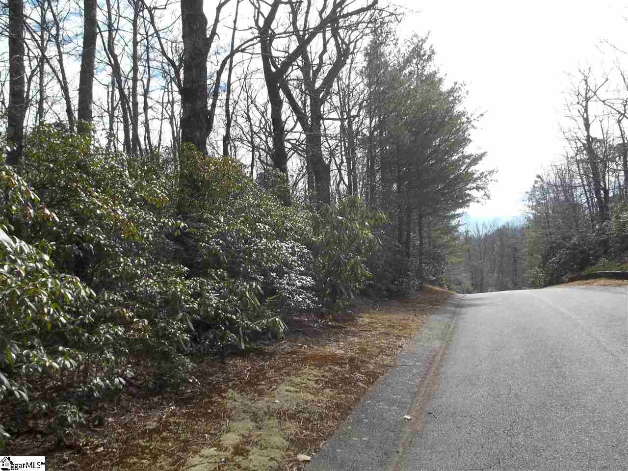 0 Conifer Falls Road, Unit LOT 194 Cleveland, SC 29635 - Photo 3 of 7