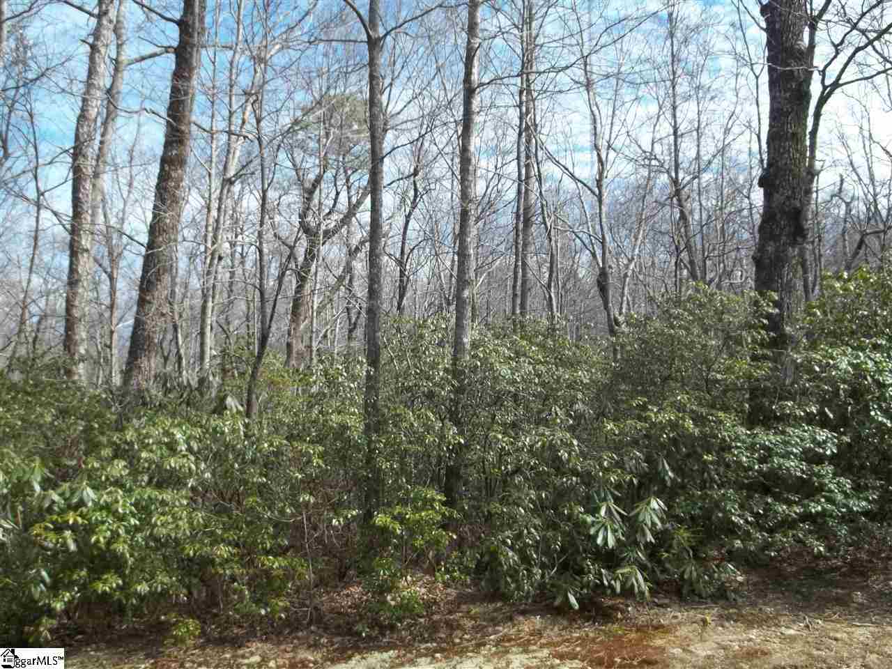 0 Conifer Falls Road, Unit LOT 194 Cleveland, SC 29635 - Photo 4 of 7