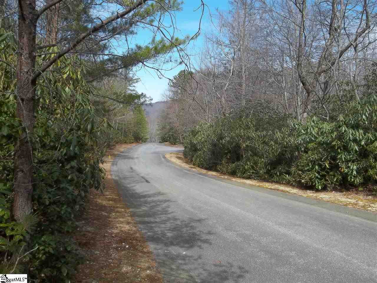 0 Conifer Falls Road, Unit LOT 194 Cleveland, SC 29635 - Photo 5 of 7