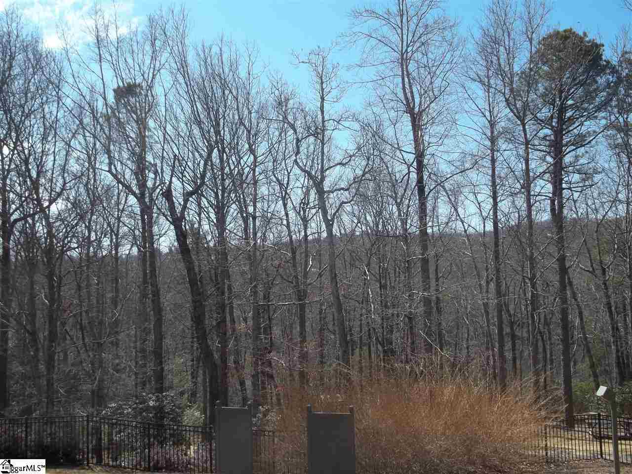 0 Conifer Falls Road, Unit LOT 194 Cleveland, SC 29635 - Photo 6 of 7