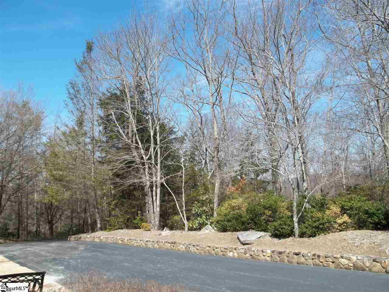 0 Conifer Falls Road, Unit LOT 194 Cleveland, SC 29635 - Photo 7 of 7