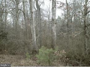 4106 Fox Hunters Road Harrington, DE 19952 - Photo 5 of 6 Gallery Image 5