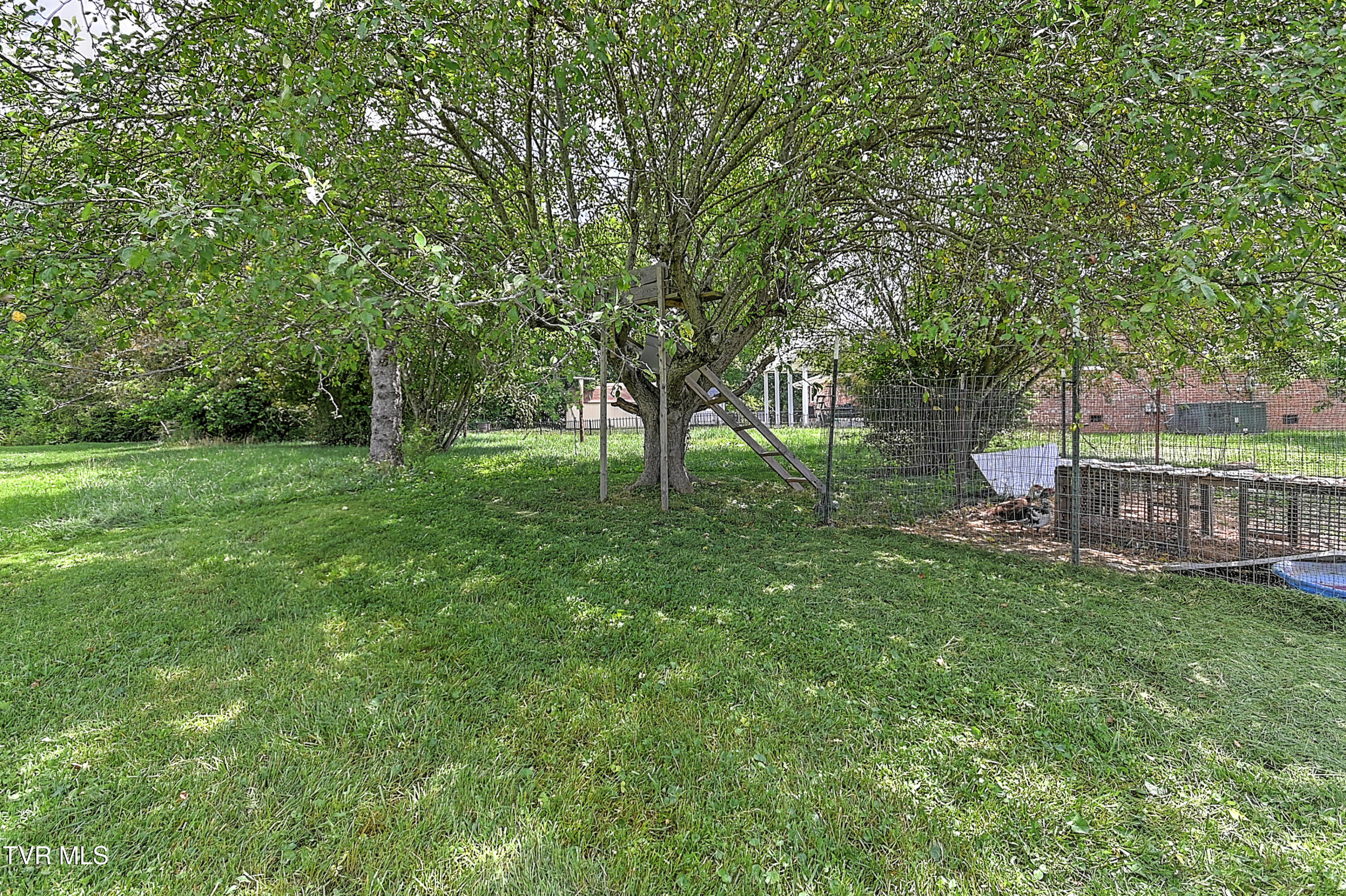509 9th Street Erwin, TN 37650 - Photo 8 of 60 509 9th St MR-51
