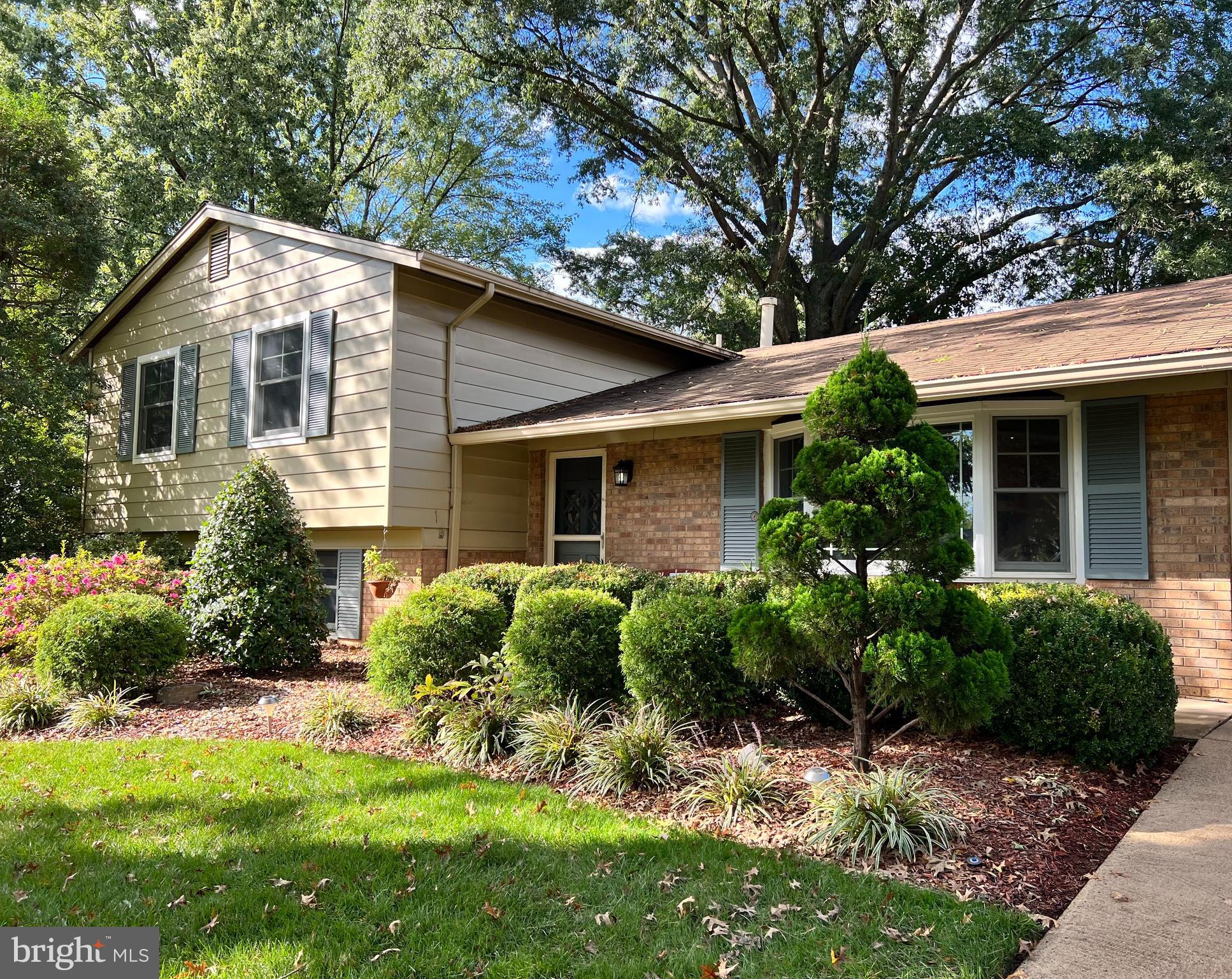 2403 Arrow Park Drive Alexandria, VA 22306 - Photo 4 of 45