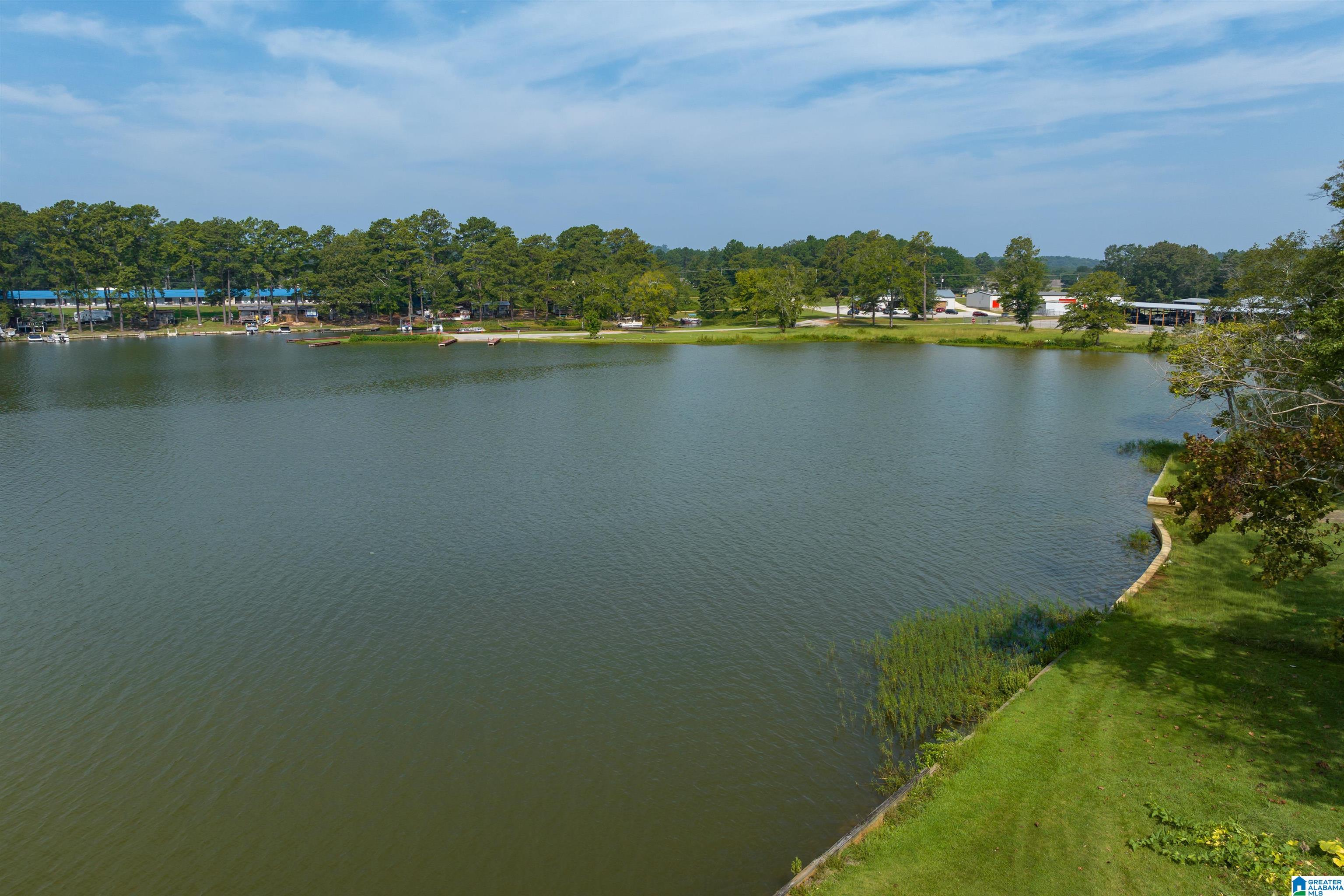 124 Rock Inn Trail Cropwell, AL 35054 - Photo 54 of 62