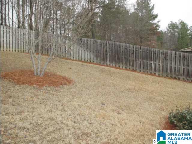 145 River Birch Road Chelsea, AL 35043 - Photo 27 of 29