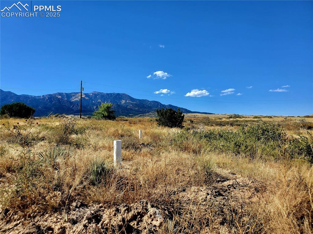 650 County Road Rye, CO 81069 - Photo 4 of 27 a view of a big yard