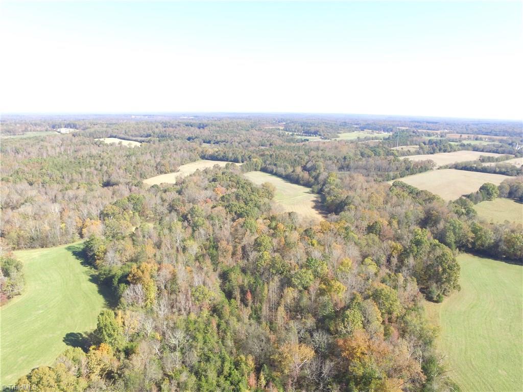 168 Wyo Road Mocksville, NC 27028 - Photo 9 of 16 Main wooded area and Cedar Creek hidden in the trees