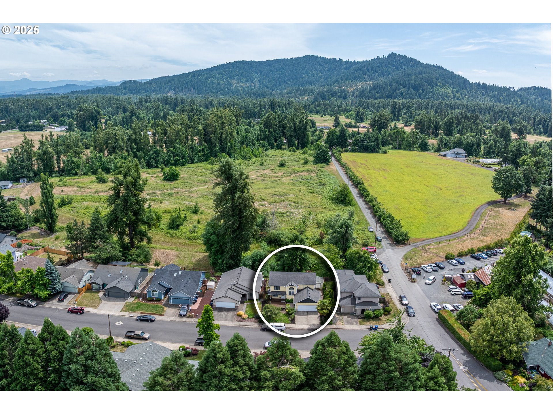4217 Cole Way Springfield, OR 97478 - Photo 36 of 43 a view of a house with a mountain and a garden