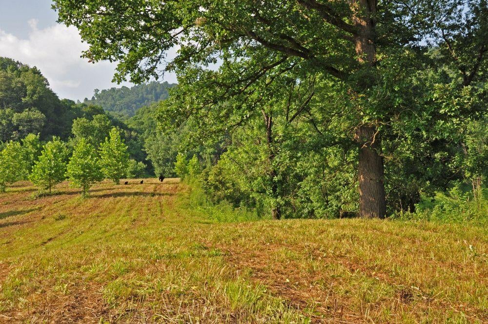 12 Rt Talcott, WV 24981 - Photo 46 of 54 Gallery Image 46