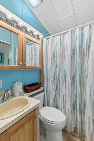 a bathroom with a sink a toilet and shower curtain