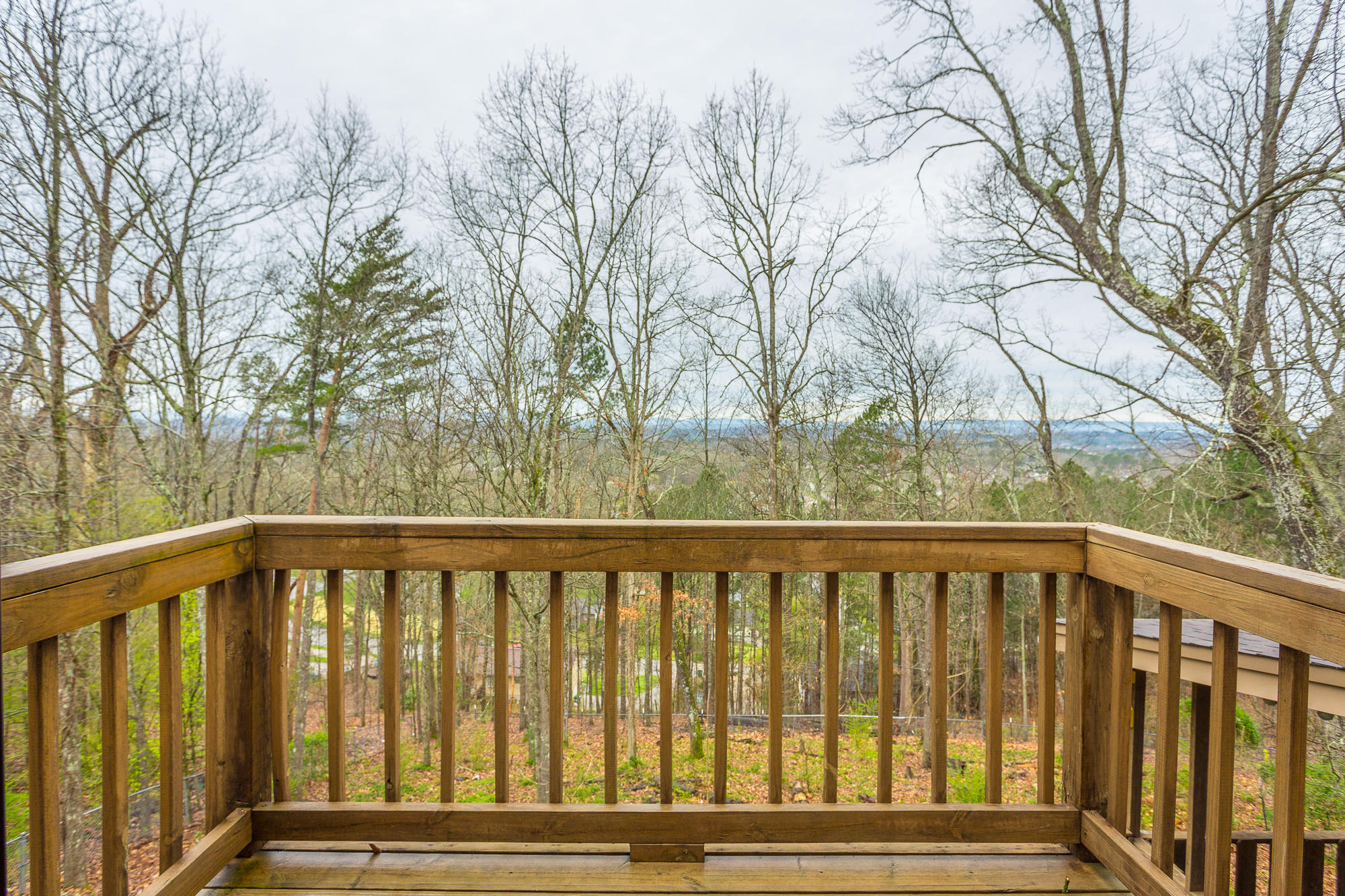 707 Swansons Ridge Road Chattanooga, TN 37421 - Photo 25 of 29 707 Swanson Ridge Rd. HD-43