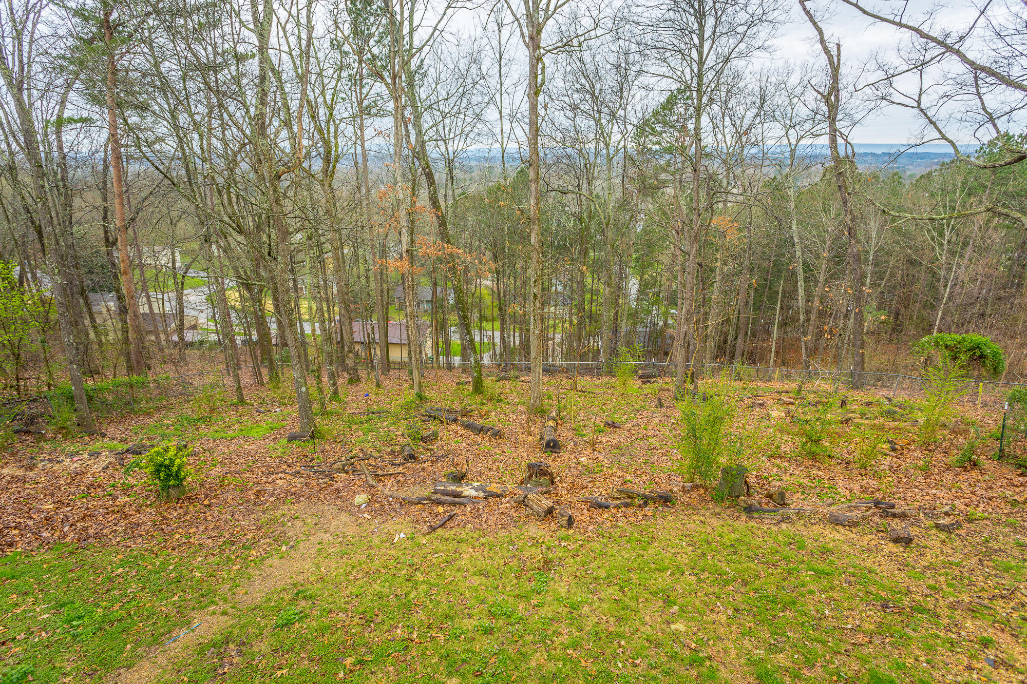 707 Swansons Ridge Road Chattanooga, TN 37421 - Photo 26 of 29 707 Swanson Ridge Rd. HD-34
