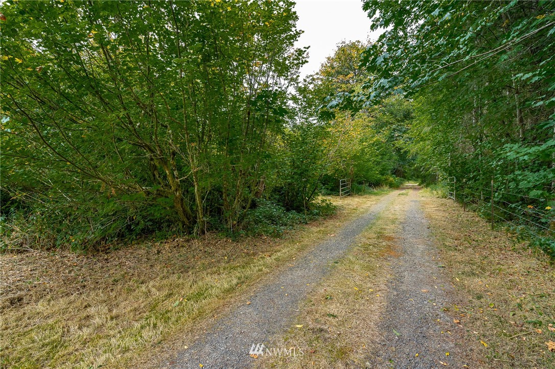 591-18 Burnt Ridge Road Onalaska, WA 98570 - Photo 34 of 38 Gallery Image 34