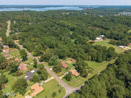 an aerial view of a houses with a lush green hillside