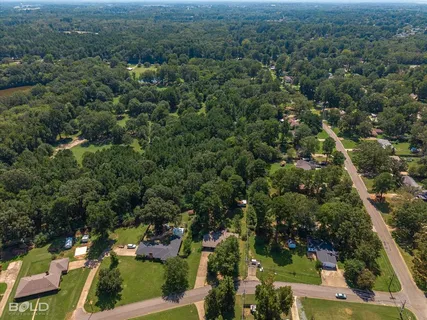 an aerial view of residential houses with outdoor space and trees