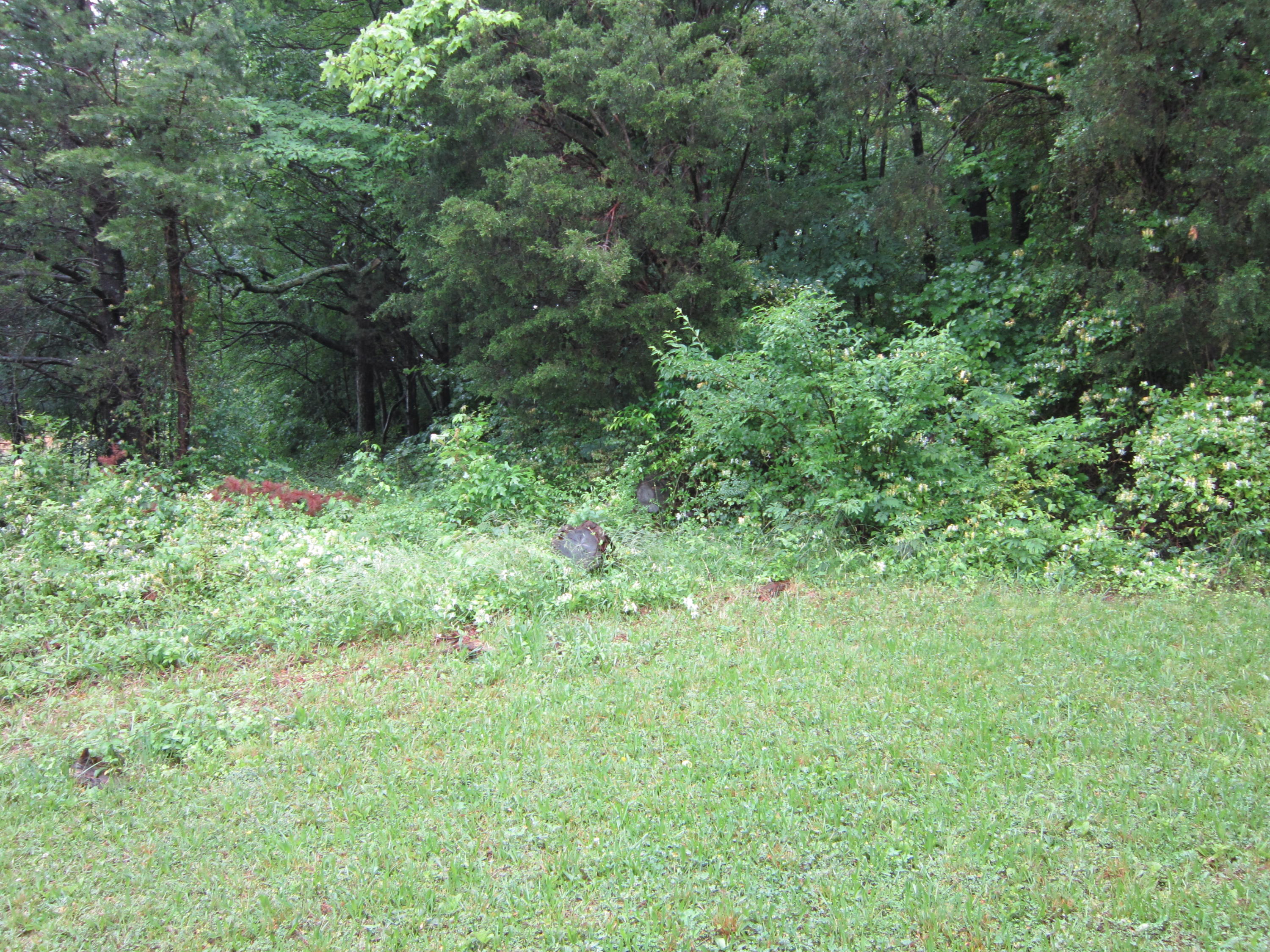 2921 Nickle Road Knoxville, TN 37921 - Photo 1 of 12 IMG_2269
