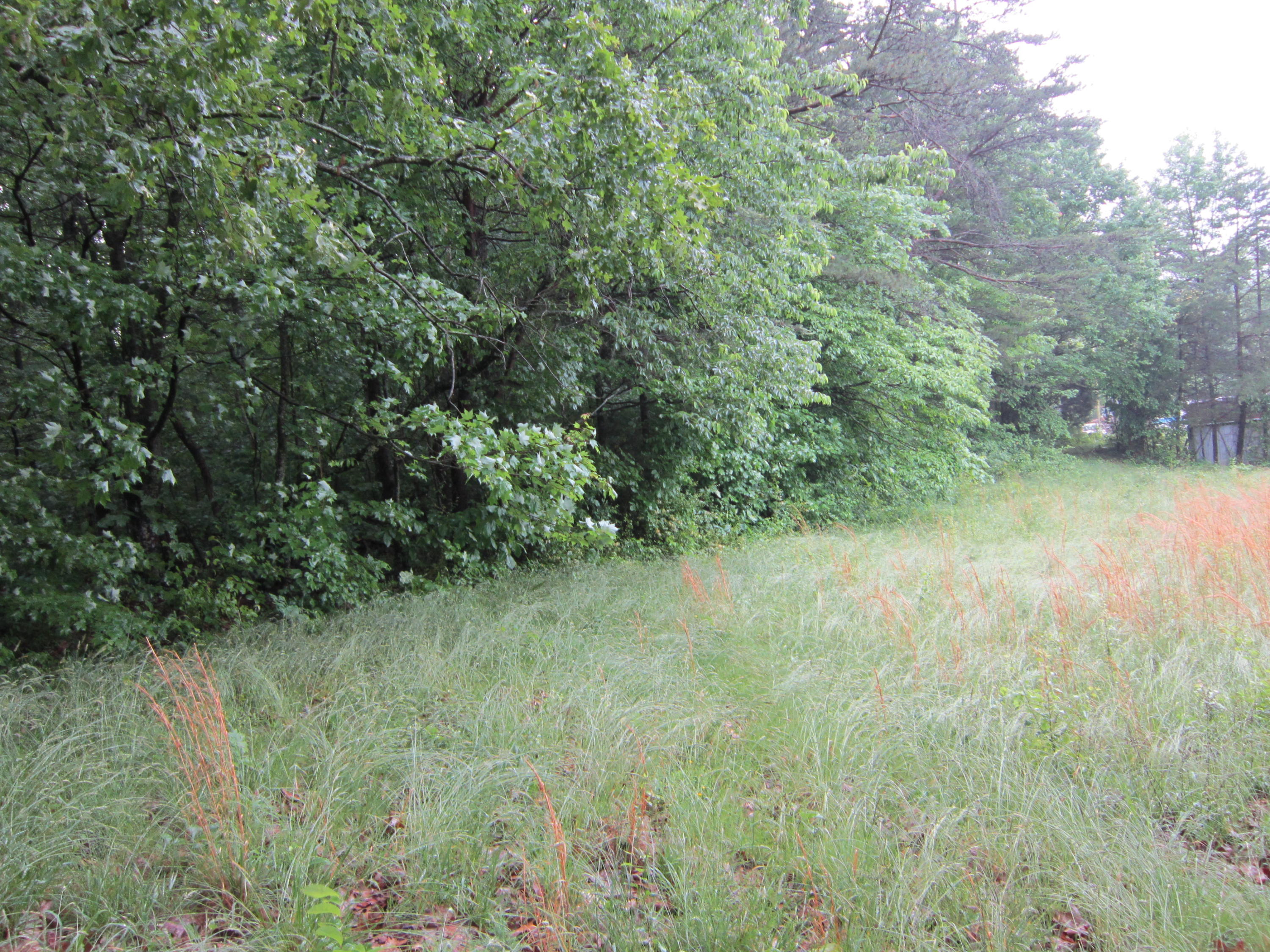 2921 Nickle Road Knoxville, TN 37921 - Photo 11 of 12 IMG_2278