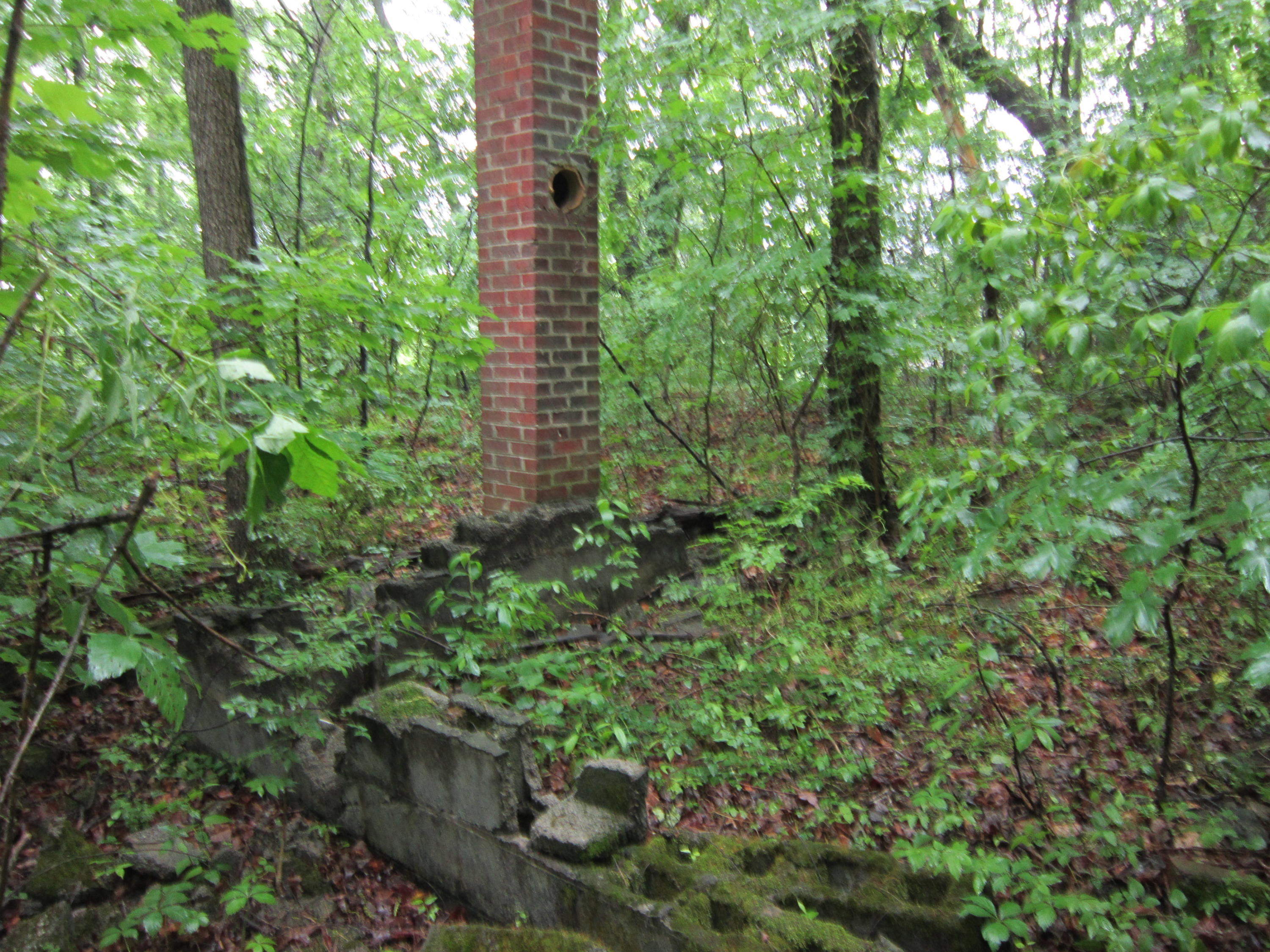 2921 Nickle Road Knoxville, TN 37921 - Photo 5 of 12 IMG_2272