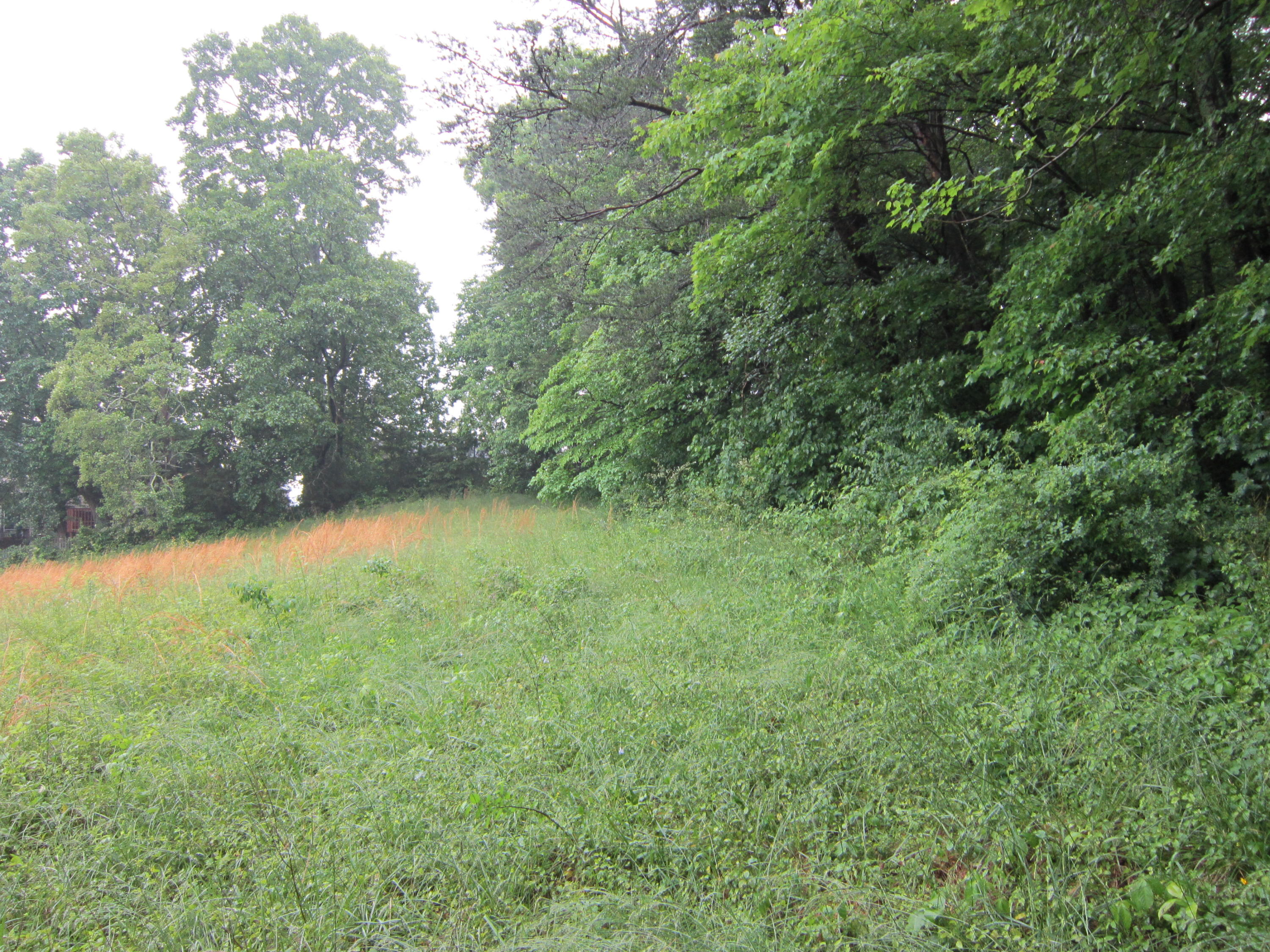 2921 Nickle Road Knoxville, TN 37921 - Photo 9 of 12 IMG_2276