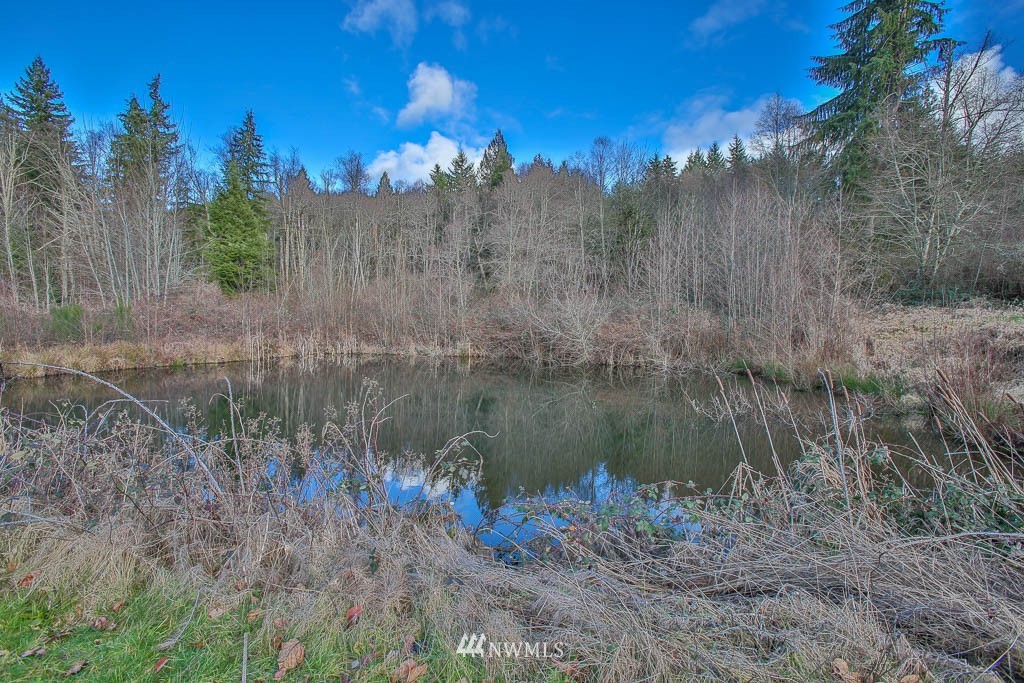 23621 Fisk Road East Orting, WA 98360 - Photo 3 of 10