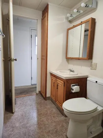 a bathroom with a toilet a sink a mirror and vanity